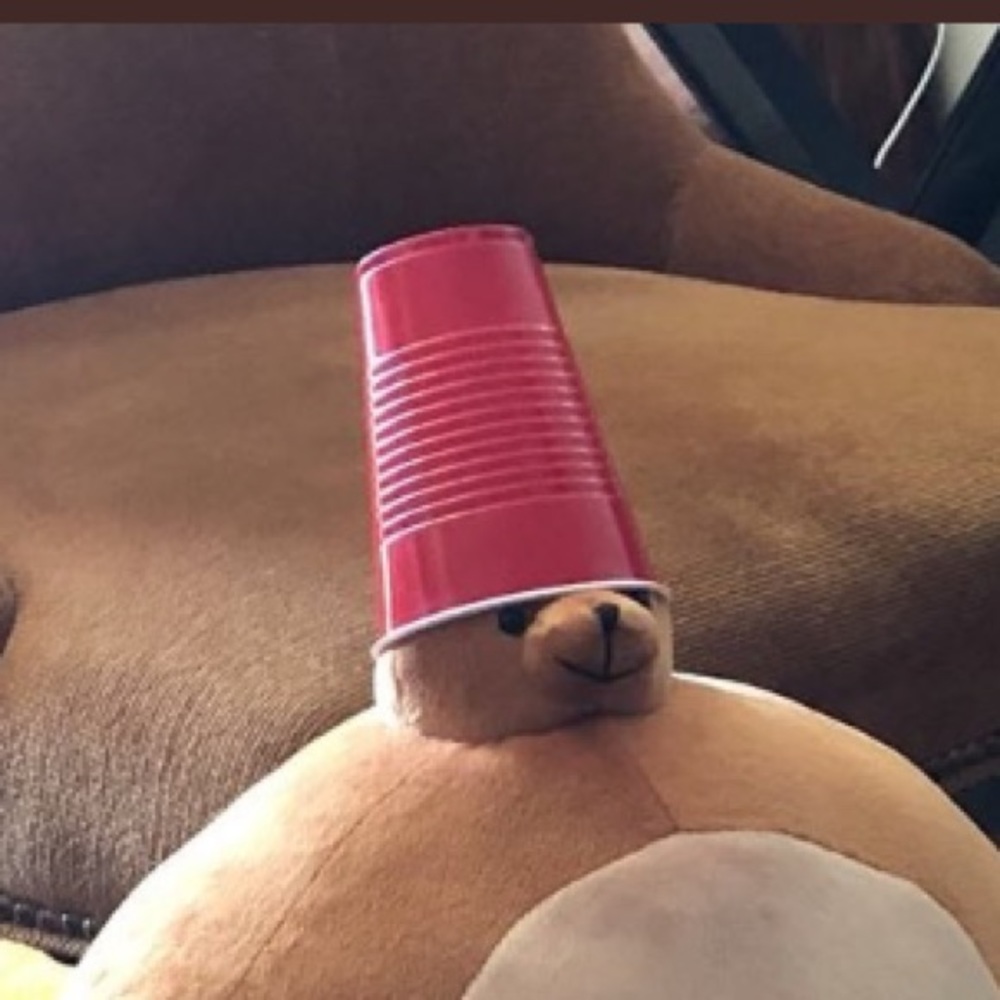 Meet your Posher, Timmy